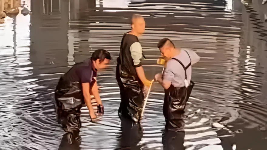 影/直播秀千萬「帝王綠翡翠」手滑掉水中　急抽乾整條河…打撈3天「找嘸」