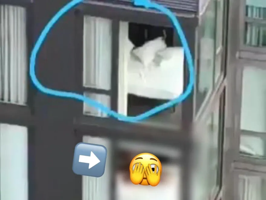 這飯店必須入住！他辦公羞見對面阿姨樓上整床　猛男樓下賣力跟妹子搖床