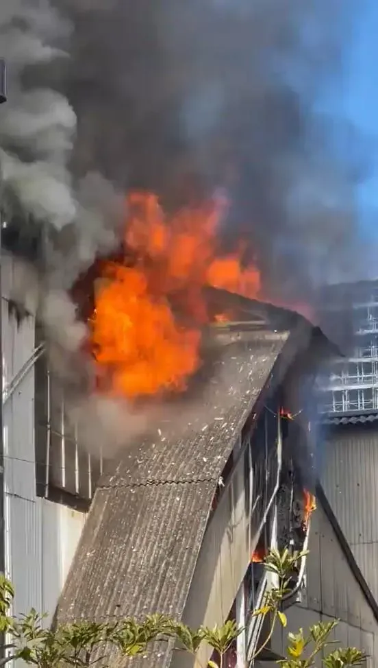 快訊/影/東京住宅區藥廠驚傳大火！助燃溶劑燒不停　化學部隊緊急出動