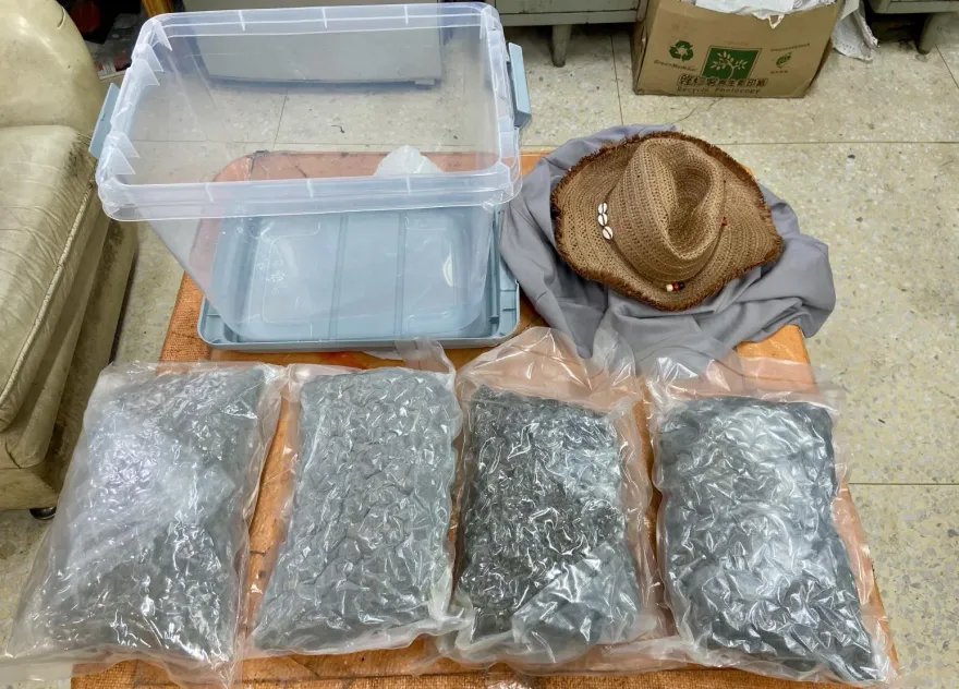 影/美國跨國包裹夾藏毒品入境　桃機物流員工竟是2千萬大麻收件人