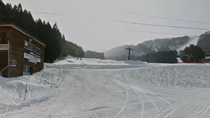 快訊/男大生日本滑雪摔倒身亡　外交部：提供家屬必要協助