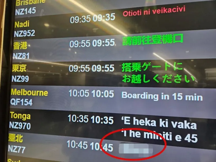 投票日趣聞！紐西蘭航空「看板3個字」全網笑翻：超幽默
