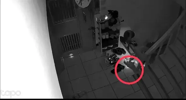 噁男3度朝鞋子「狂射嘉明」！　她一看監視器崩潰：目標就是我...