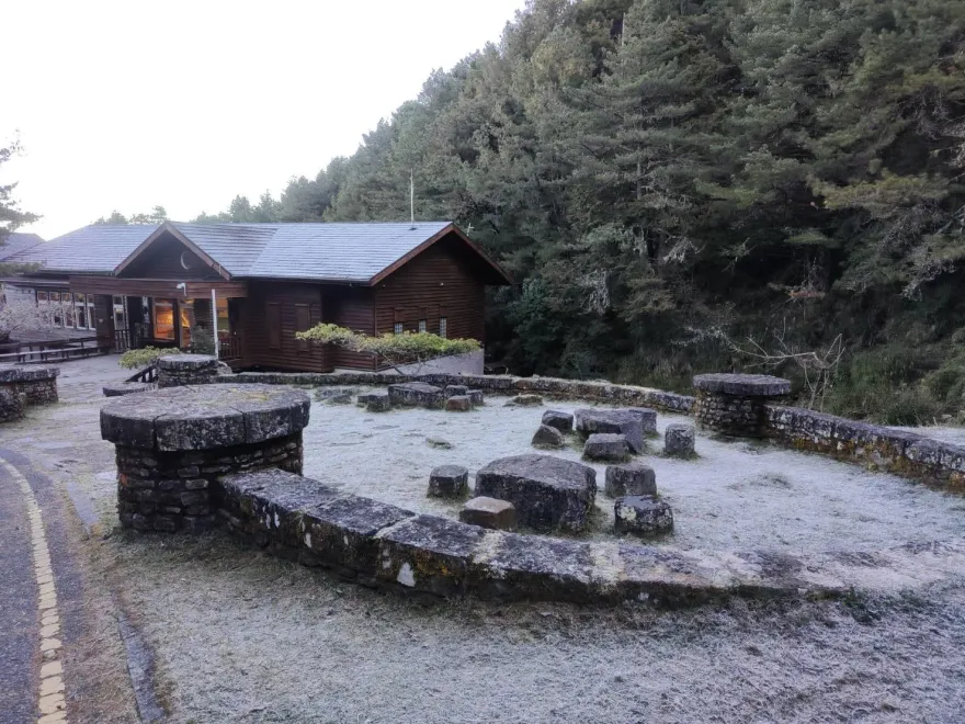 影/宛如仙境！玉山塔塔加園區路面結冰「猶撒銀白糖霜」　絕美景象曝