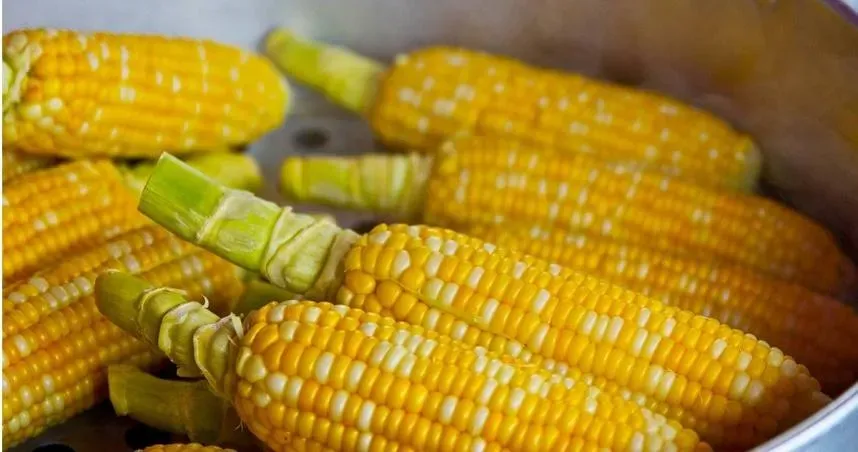 玉米便宜但烤的卻超貴！　網曝主因：100元真的算便宜