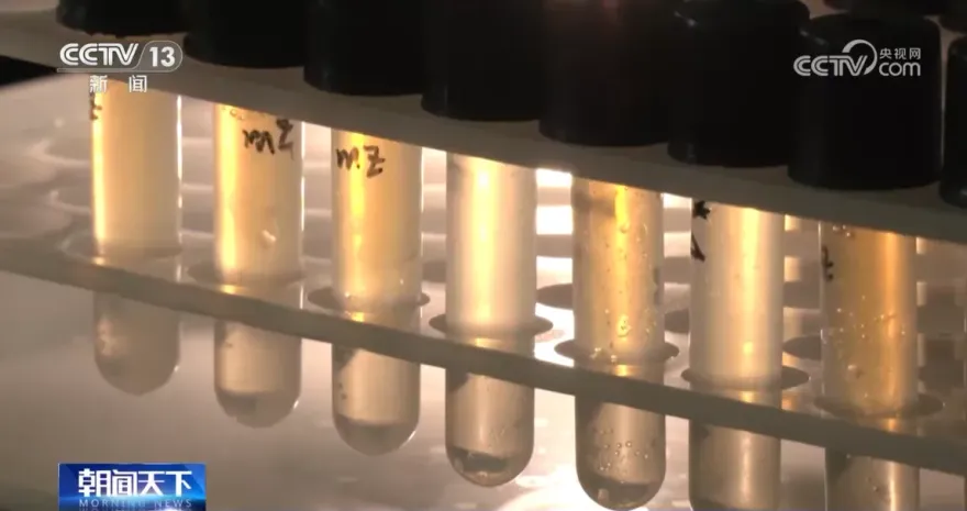 探究外星生命！天舟七號攜「厭氧古菌」上太空　測試極端環境能否存活