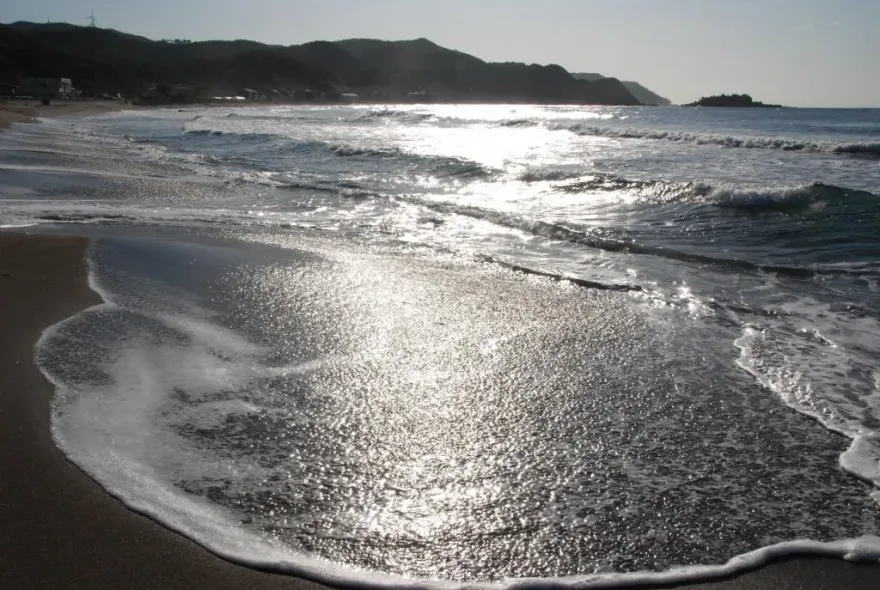 大自然的威力！日本能登半島災區海岸驚現「哥吉拉上岸」　網友驚喜：讓它來募款！
