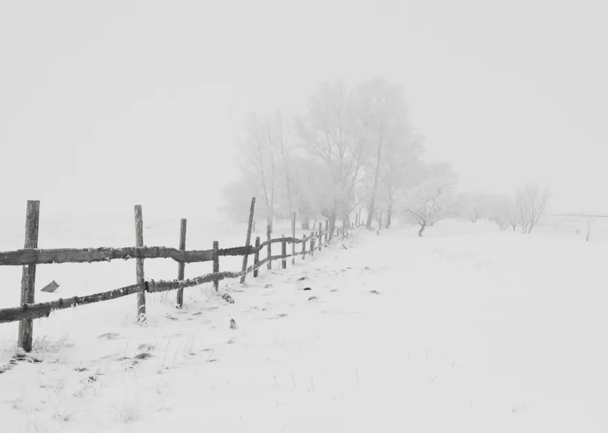 快訊/下雪倒數計時！合歡山頂、玉山17:00「跌破0度」