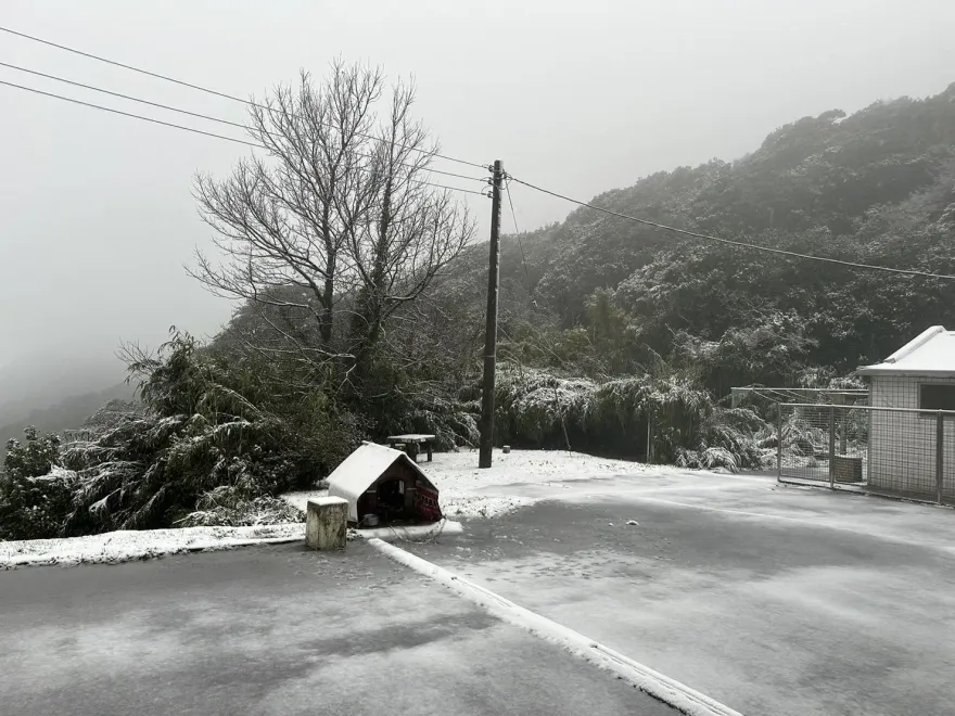 快訊/台北終於下了雪！陽明山鞍部「雨夾雪」累積1公分　二子坪有冰霰