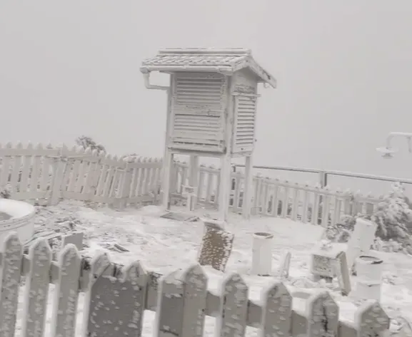 影/玉山下大雪！銀白世界零下4度　美景盡收眼底