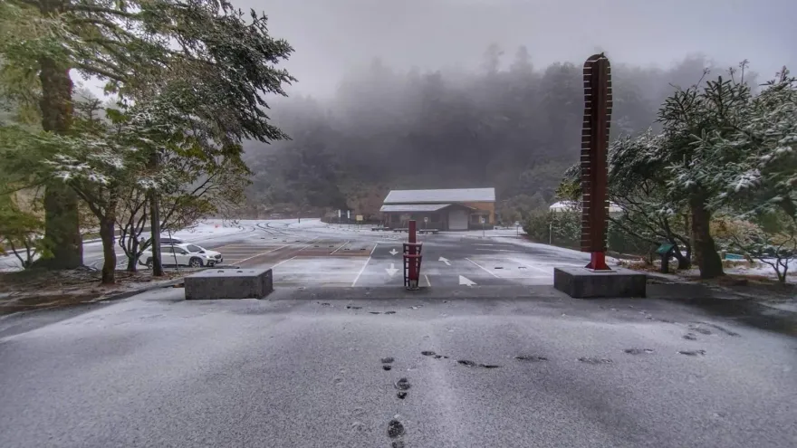 影/追雪點再+1！台中大雪山遊樂區清晨飄雪　遊客一早嗨爆
