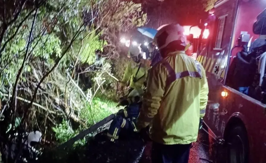 19歲男租車夜衝陽明山追雪　車輛失控墜邊坡3人受困獲救