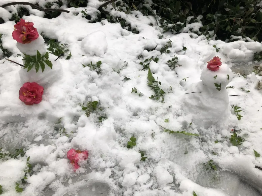 第2波嚴寒衝擊！全台轉乾冷低溫跌破5℃　降雪機率大幅降低