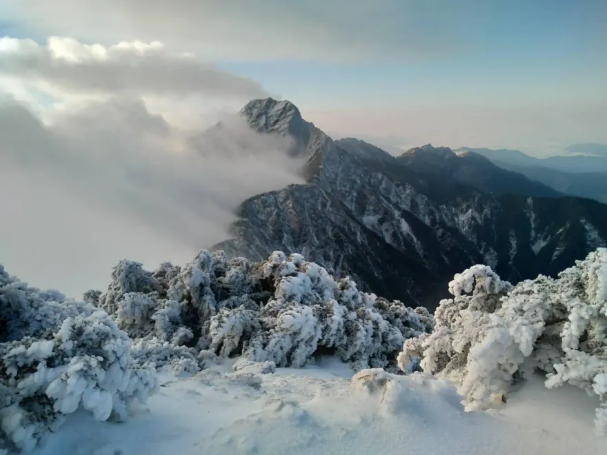 影/圖多！玉山今晨-11°C「雪白夢幻世界」超美　氣象站「人工除雪」影片曝光