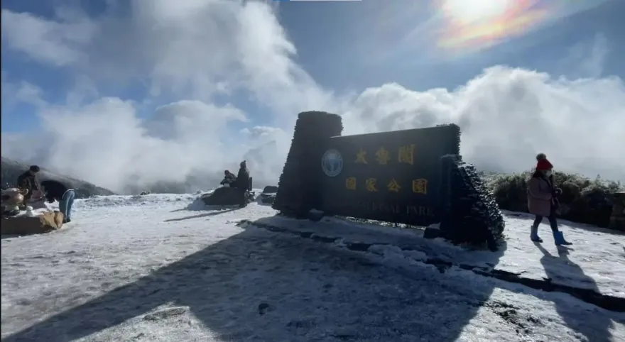 合歡山今年最大一場雪！天未亮車潮塞爆山路　追雪族逆向也要衝