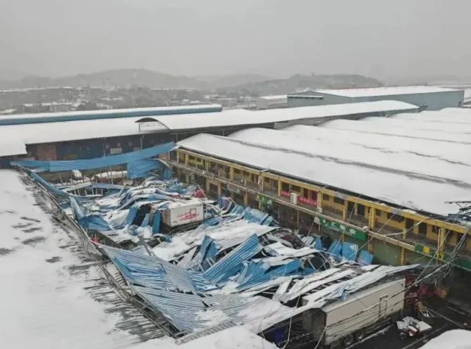 湖南暴雪持續肆虐！果菜市場頂棚被壓垮　大樹「連根拔起」倒塌