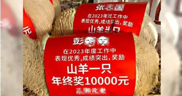 這公司太狂！發13萬年終再送山羊　「生鮮紅包」照震撼網