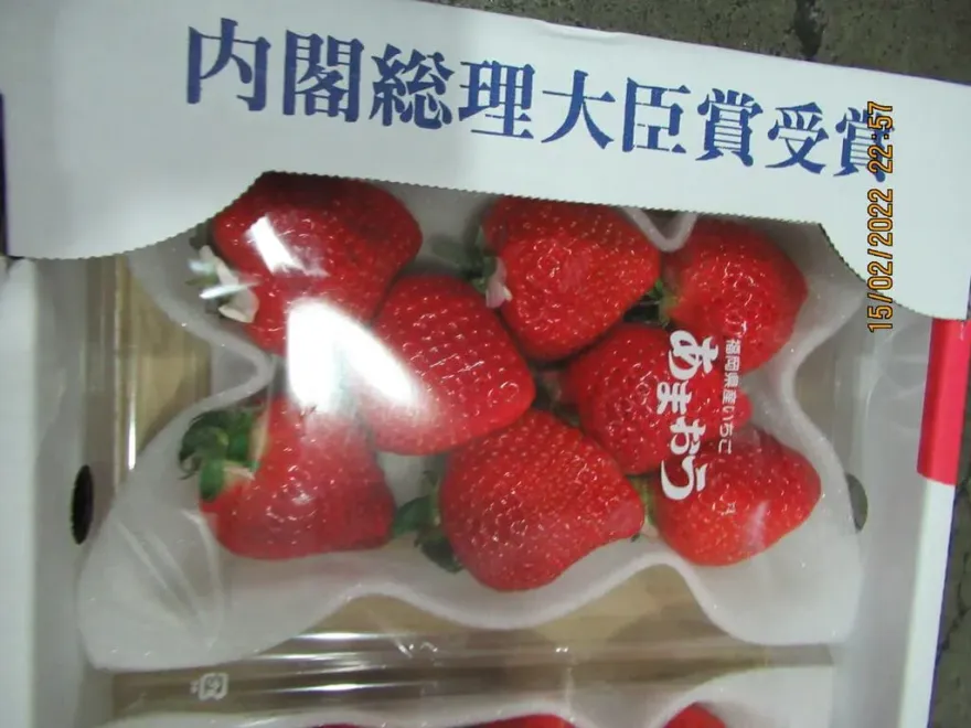 食安「又双叒」轉彎！草莓用藥放寬　李彥秀：別因國際壓力傷害民眾健康
