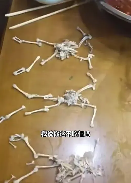 吃牛蛙火鍋被投訴少1隻！老闆「化身法醫」拼骨證明清白
