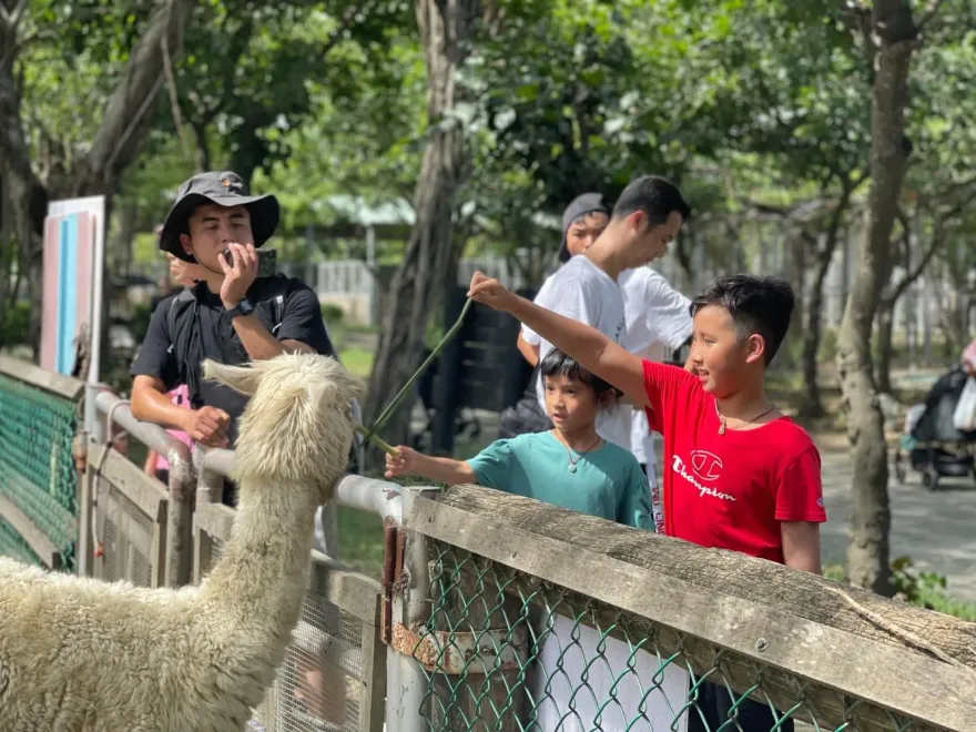 春節出遊/過年親子景點推薦！近距離餵食水豚君、全台唯一環園生態划船體驗