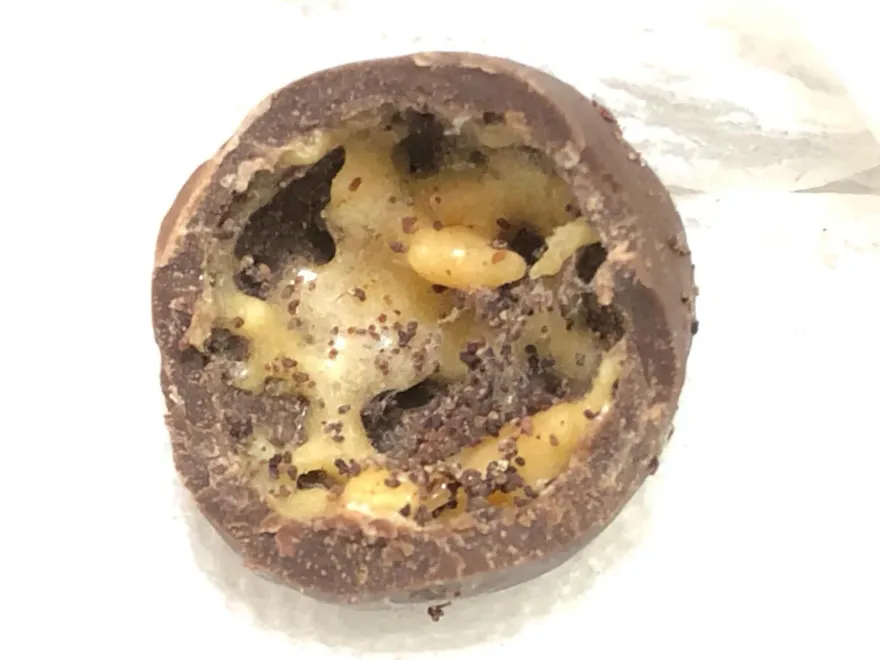 好噁！女兒剝開巧克力球「驚見蟲卵密密麻麻」　媽媽嚇傻：暫時不想吃了