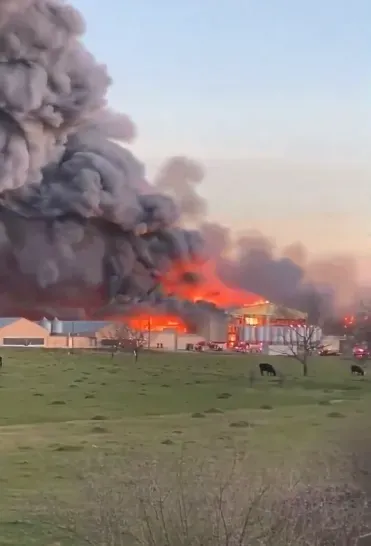 真成「德州炸雞」！美養雞場爆炸引發大火　消防員：恐將延燒數日