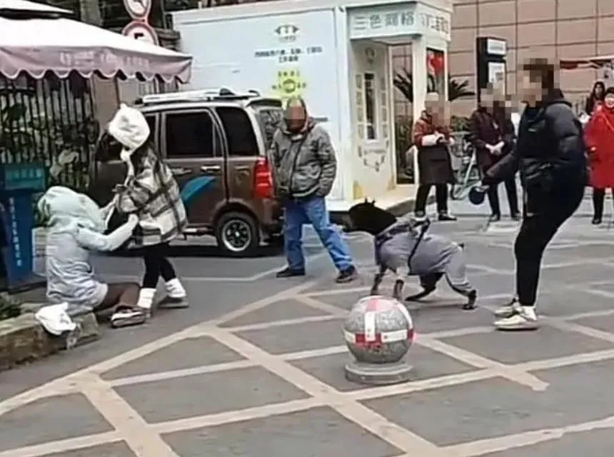 影/遛狗「沒戴嘴套」咆哮嚇到人起衝突　囂張女飼主嗆：我的狗比你金貴