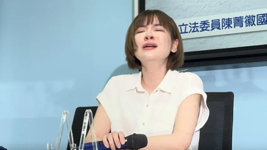 陳沂「自走砲」惹禍上身大盤點　她狠酸鄭家純「黑菊姐」轟羅志祥「空幹王」