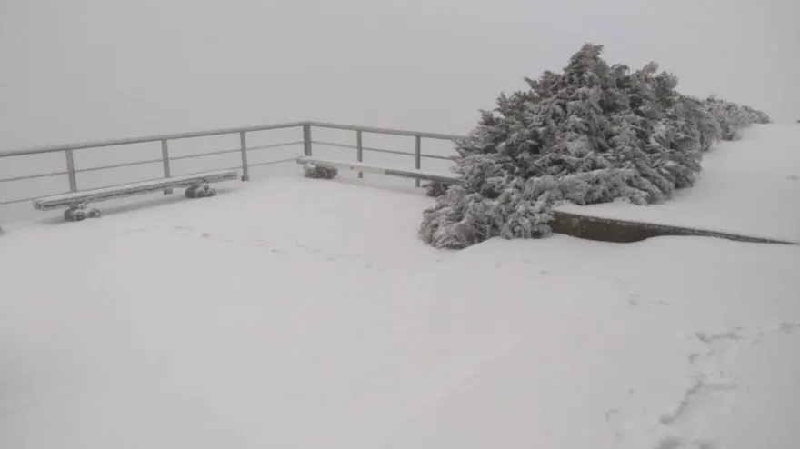 玉山下雪了！冷氣團壓境氣溫-1.8度　室內望出雪白一片