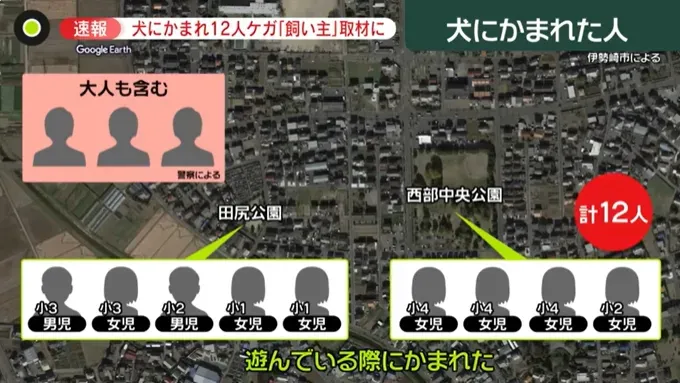 影/惡犬傷人！四國犬逃家見人就咬　多名小學生及路人遭攻擊共12人送醫