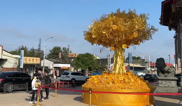 影/4.5公尺超狂財神寶樹！信徒湧北港武德宮吸財氣　金光閃閃超氣派