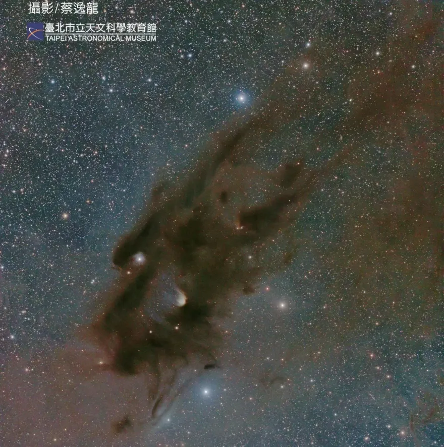 初三宇宙神龍來拜年！金牛座「龍頭星雲」相似度爆表　看到幸運一整年
