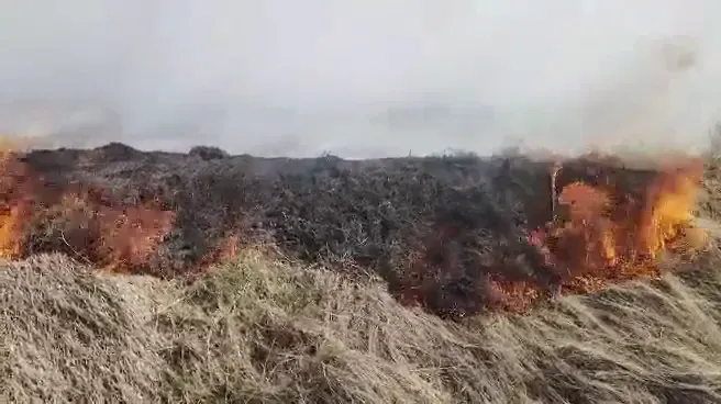 影/雲林土庫9公頃甘蔗園遭祝融！陷火海燒5小時　初判「不排除有人隨手丟菸蒂釀禍」