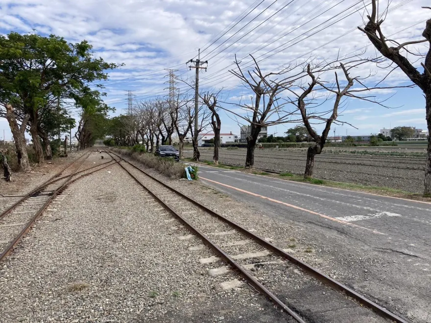 彰化「國家綠道」30行道樹慘遭毒手　注毒、火焚、剝皮害枯死...縣府急揪兇