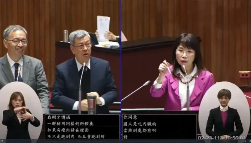 影/陳建仁反質詢「薛瑞元旁邊笑」遭打臉！陳昭姿質詢處女秀揭食安漏洞