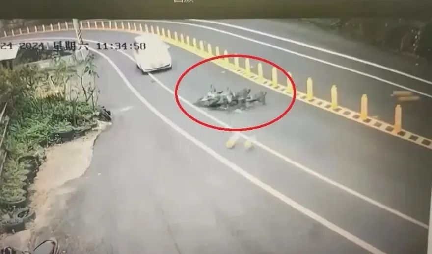 影/詭異巧合！宣明智女婿喪命地再奪1魂　台3線重機男自摔撞亡畫面曝