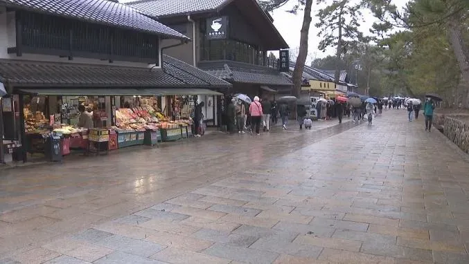 台62歲男在日本東大寺遭撞死！旅行社：後續協助家屬將遺體火化後帶回台