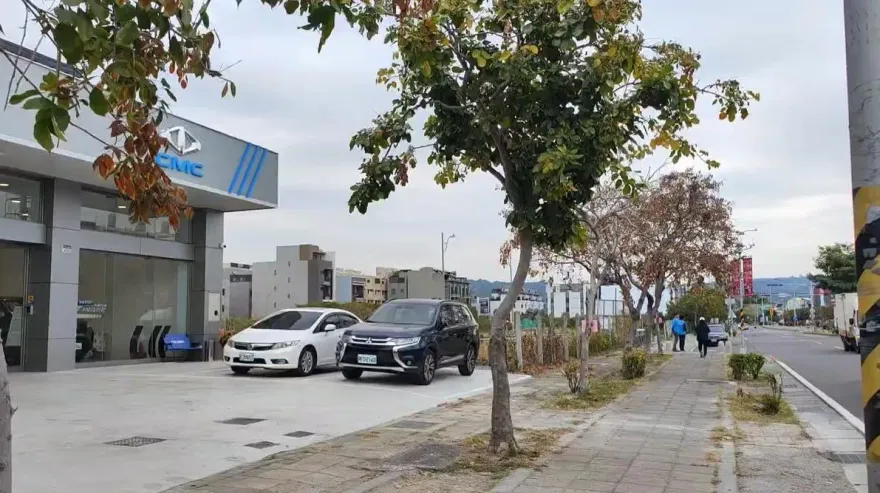 影/壞透了！員林大道4路樹慘遭「鑽洞、注毒、剝皮」　警追捕「殺樹」兇手