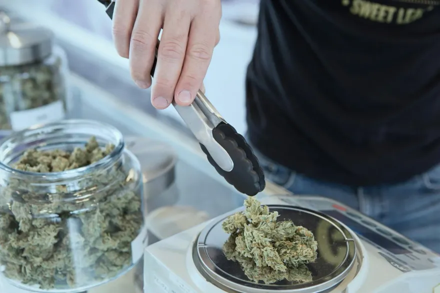 開放不到2年！泰國年底將恢復「大麻禁令」不再允許娛樂使用