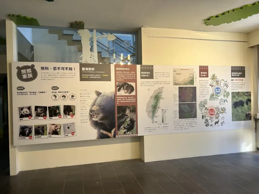 登山順便看熊熊！玉山塔塔加「台灣黑熊特展」開跑　園內至少139隻