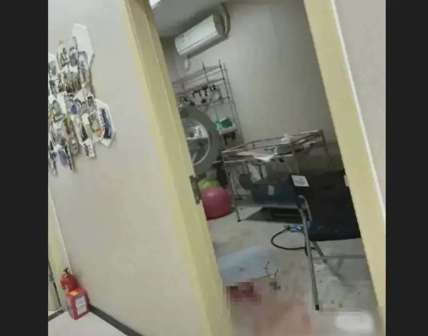 動物醫院高壓氧艙爆炸！正妹飼主遭砸「五官碎裂、頭骨爆裂」夫悲訴：恐腦死