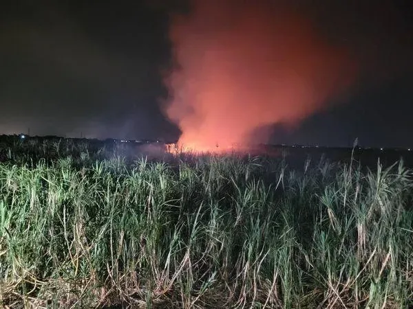 彰化甘蔗園暗夜祝融！2公里外見大火球　鄰雞舍險變烤雞