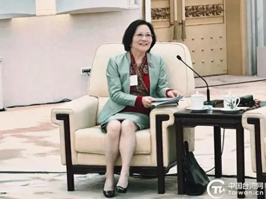 大陸兩會/人大「台灣團」開放談「賴蕭40%勝選」　台聯副會長陳雲英：社會在弱化