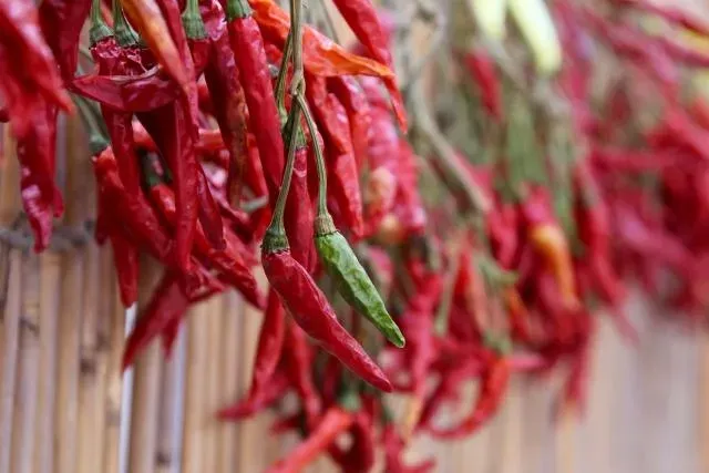 無辣不歡怎麼辦？名廚教你在家「DIY辣椒醬」不怕吃到蘇丹紅