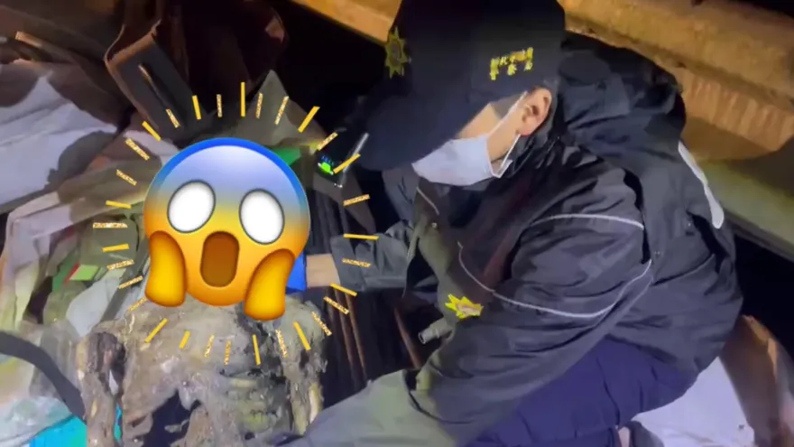 影/三峽賞螢驚見「封鎖線內全裸溶屍」　警最高規格查失蹤！答案竟是道具