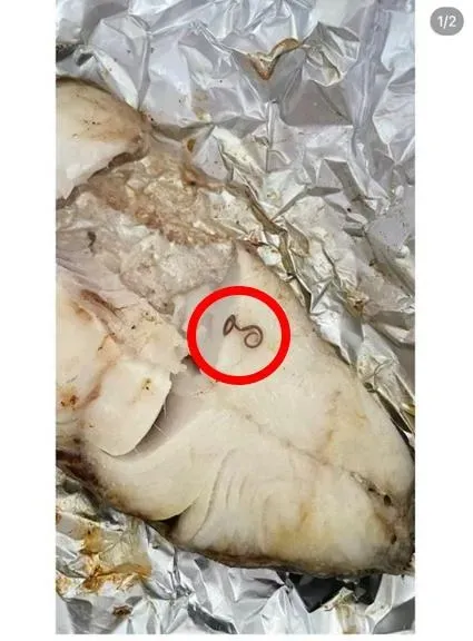 不是吻仔魚！超市黑鱈魚柳「驚見長條寄生蟲」　母為嬰做副食品險吃下肚