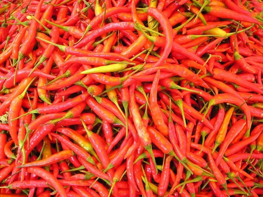 蘇丹紅風波延燒！國產辣椒3月批發價漲逾20元