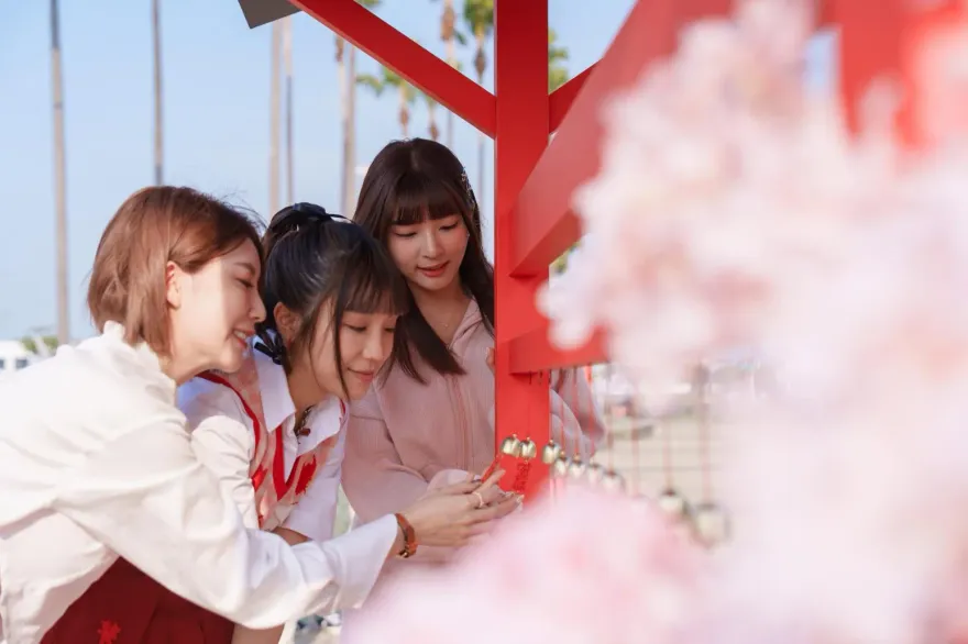 搶看7公尺高櫻王！梁舒涵嬌喊：好幸福