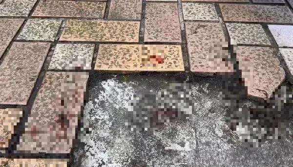 設局騙到早餐店猛砍！他慘遭2男球棒、西瓜刀攻擊倒地　1嫌遭逮1人在逃