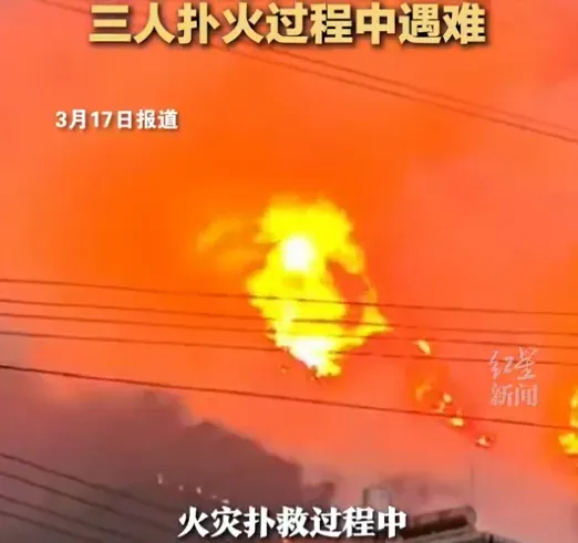 陸森林大火頻傳！雲南臨滄、文山突發山火　3基層幹部不幸罹難
